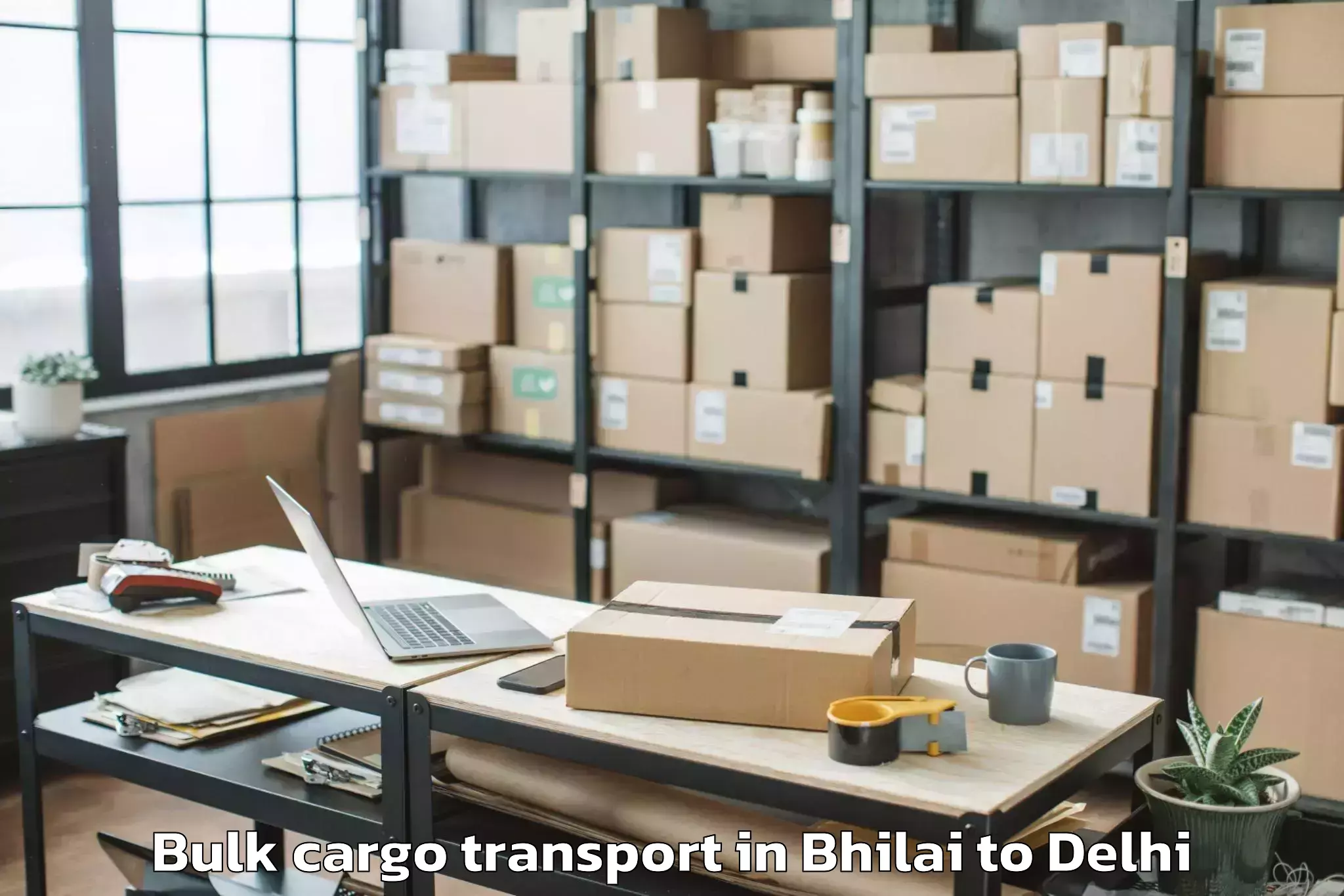 Expert Bhilai to D Mall Pitampura Bulk Cargo Transport